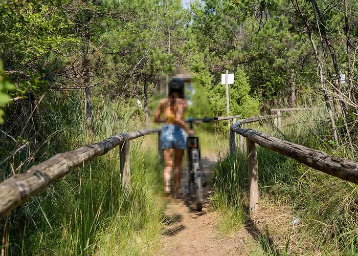 Lejlighed 1 Bedroom Lovely In